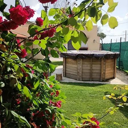 Mudayyan Coca de Alba